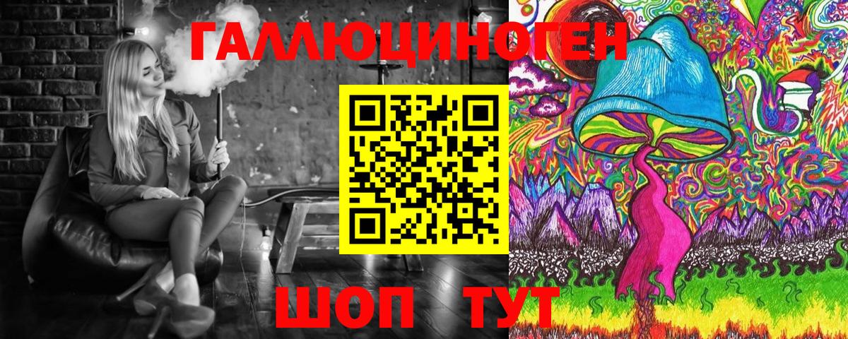 Вичуга  Псилоцибиновые грибы MAGIC MUSHROOMS  Вход с VPN 